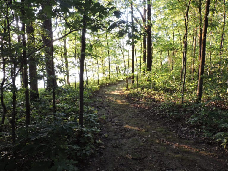 14 Best Things to Do in Jonesboro (Arkansas) The Crazy Tourist