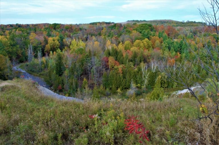 15 Best Things to Do in Pickering (Ontario, Canada) The Crazy Tourist