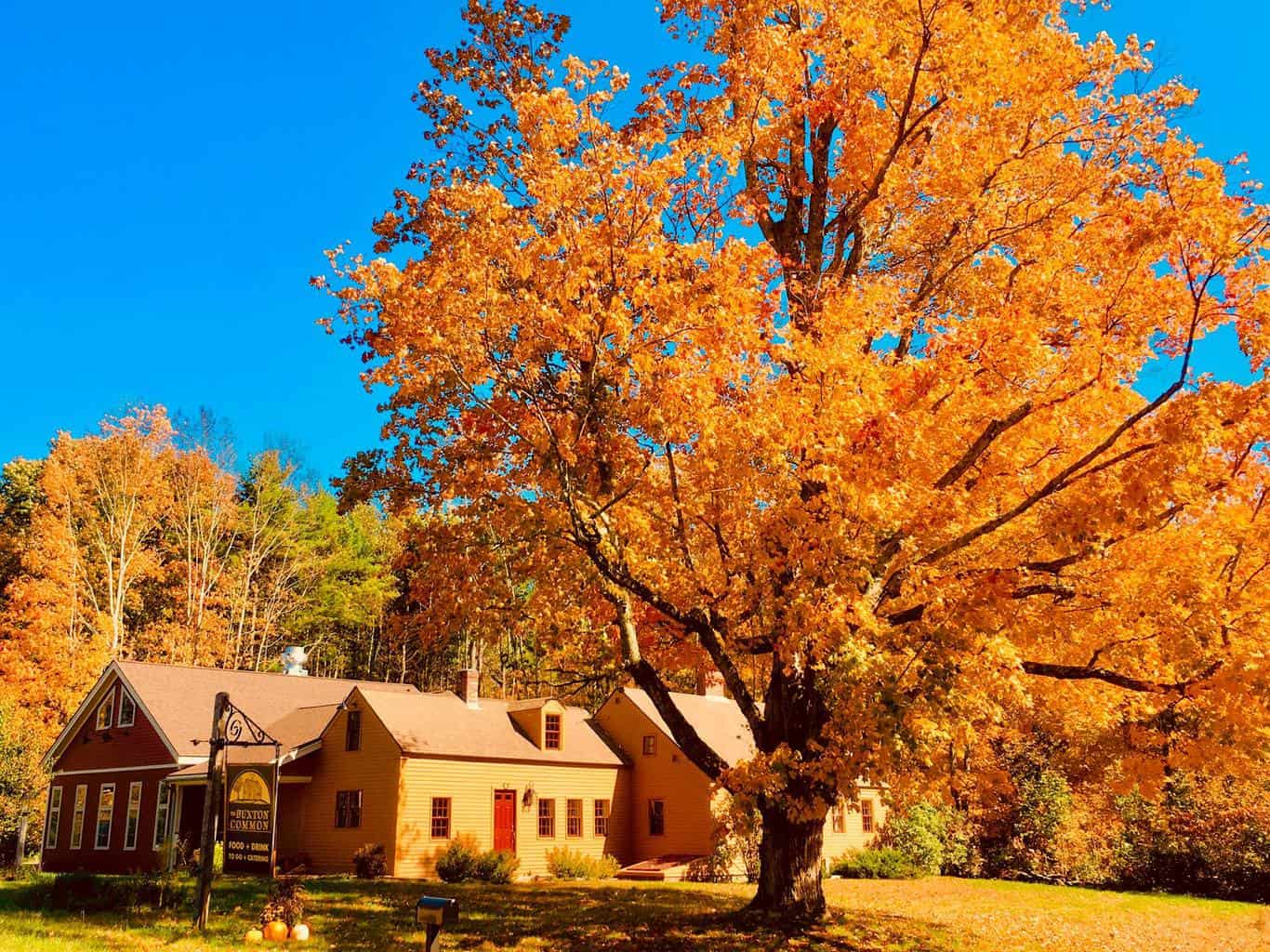 15 Best Things to Do in Buxton (Maine) The Crazy Tourist