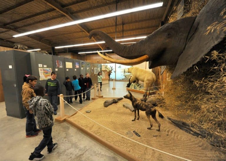 14 Best Things to Do in Monticello (Arkansas) The Crazy Tourist