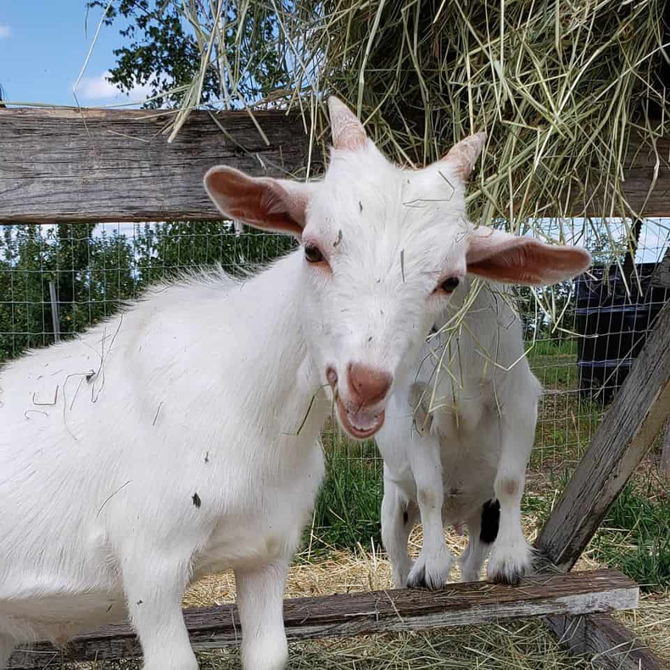 15 Best Things to Do in Winthrop (Maine) The Crazy Tourist