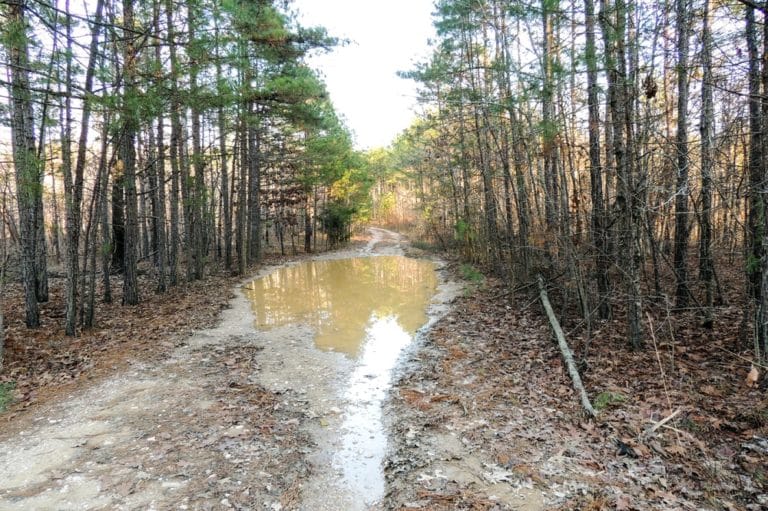 14 Best Things to Do in Mena (Arkansas) The Crazy Tourist