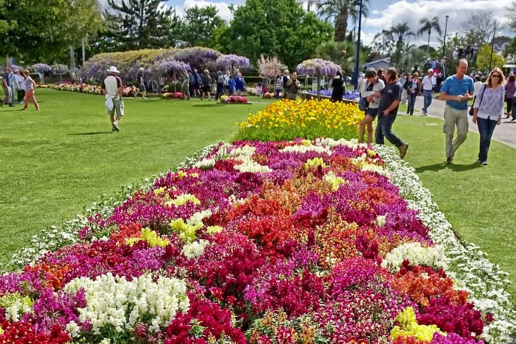 15 mejores cosas para hacer en Toowoomba (Australia) 15 mejores cosas para hacer en Toowoomba (Australia)