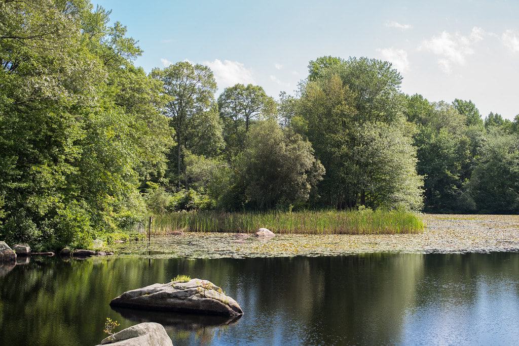 Connecticut College Arboretum