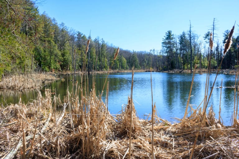 15 Best Things to Do in Bloomfield (CT) The Crazy Tourist