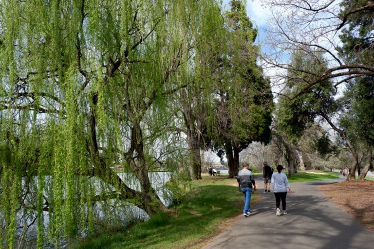 15 Best Things to Do in Bendigo (Australia) The Crazy Tourist 15 Best Things to Do in Bendigo (Australia) The Crazy Tourist