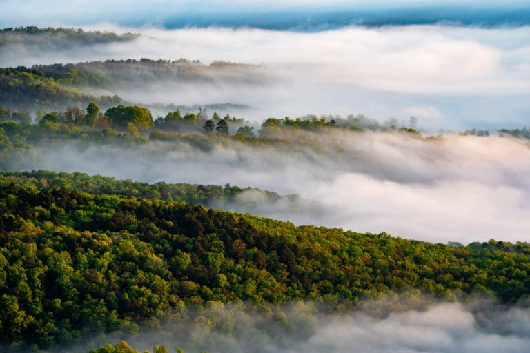 14 Best Things to Do in Harrison (Arkansas) The Crazy Tourist