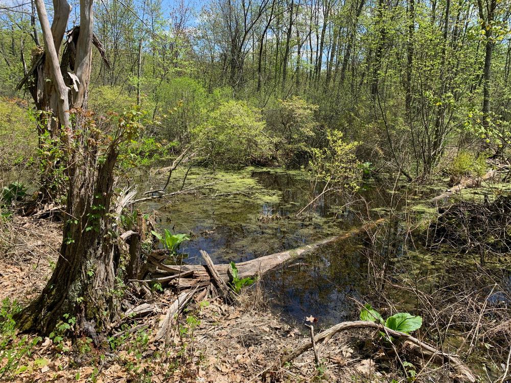 Penwood State Park