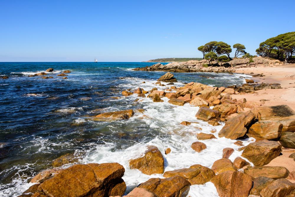 15 mejores cosas para hacer en Busselton (Australia) 15 mejores cosas para hacer en Busselton (Australia)