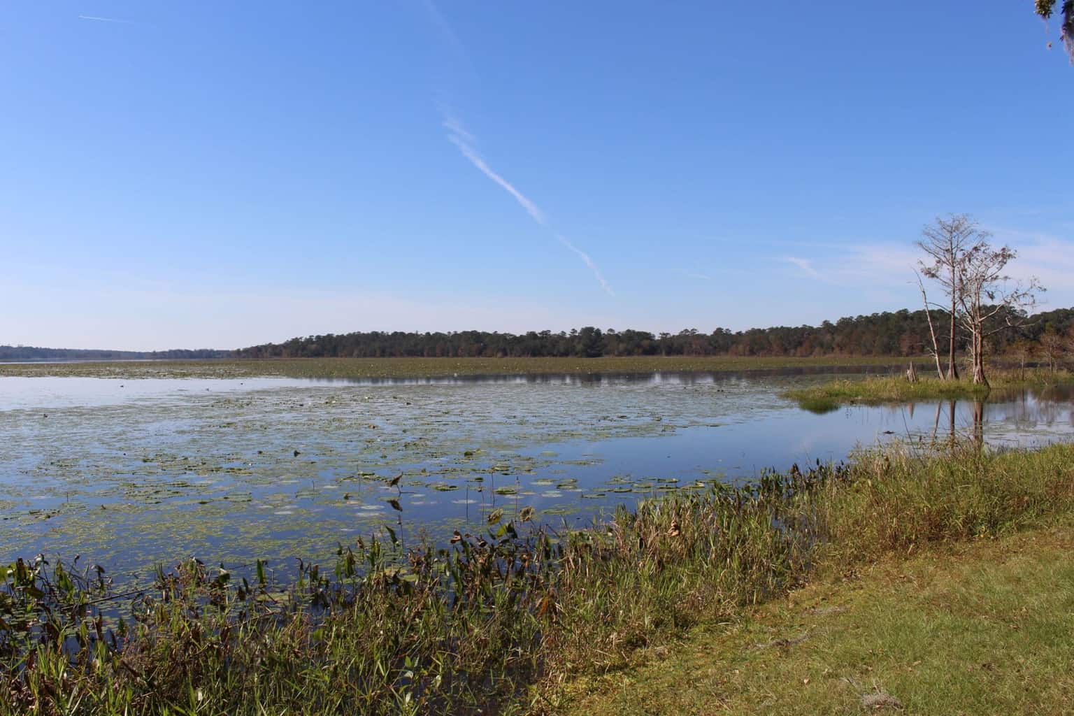 15 Best Lakes in Florida The Crazy Tourist