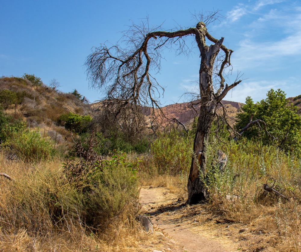 Whiting Ranch Wilderness Park