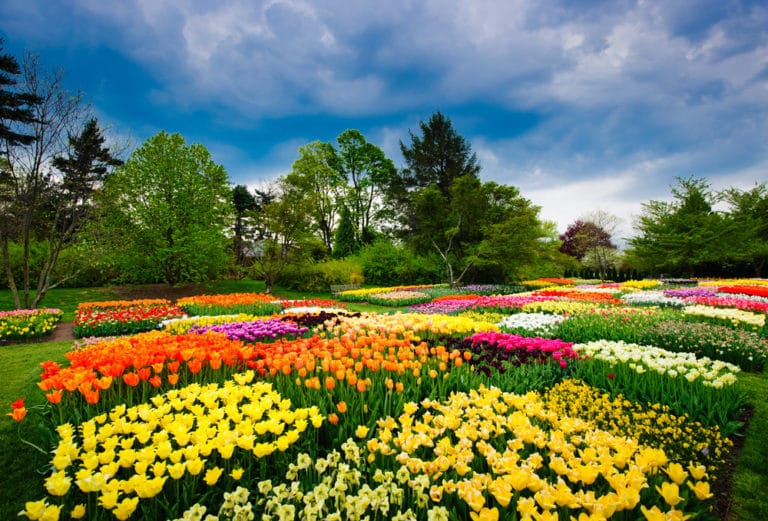 15 Best Things to Do in Wilmington Manor (DE) The Crazy Tourist