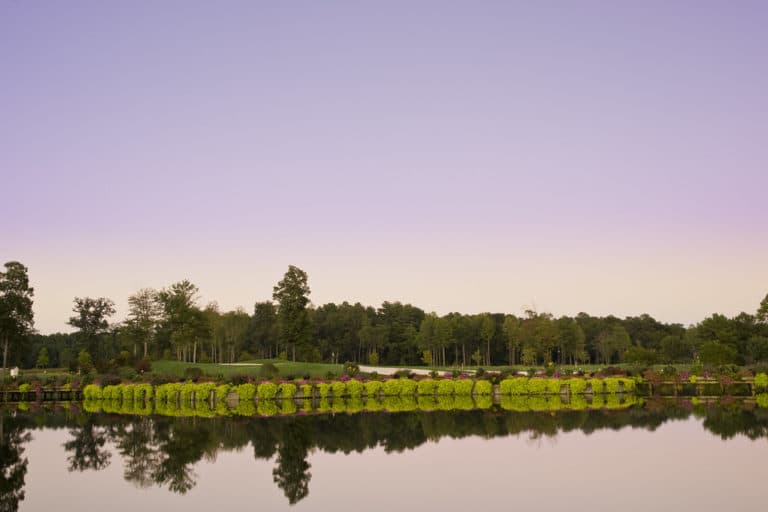 15 Best Things to Do in Long Neck (DE) The Crazy Tourist