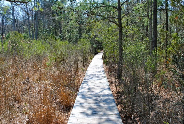 15 Best Things to Do in Ocean View (DE) The Crazy Tourist