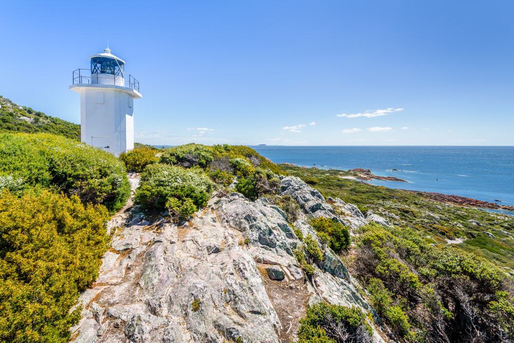 15 mejores cosas para hacer en Wynyard (Australia) 15 mejores cosas para hacer en Wynyard (Australia)