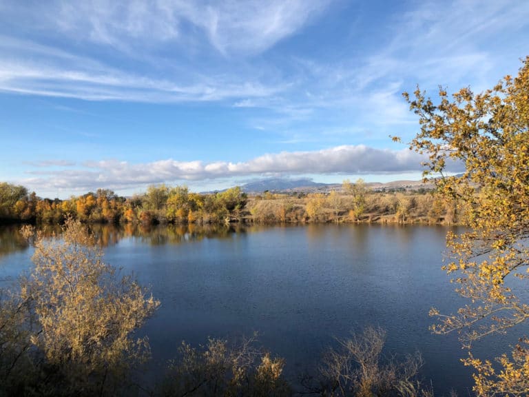 15 Best Things to Do in Pleasanton (CA) The Crazy Tourist