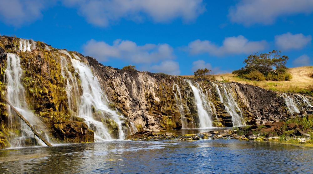 15 mejores cosas para hacer en Warrnambool (Australia) 15 mejores cosas para hacer en Warrnambool (Australia)