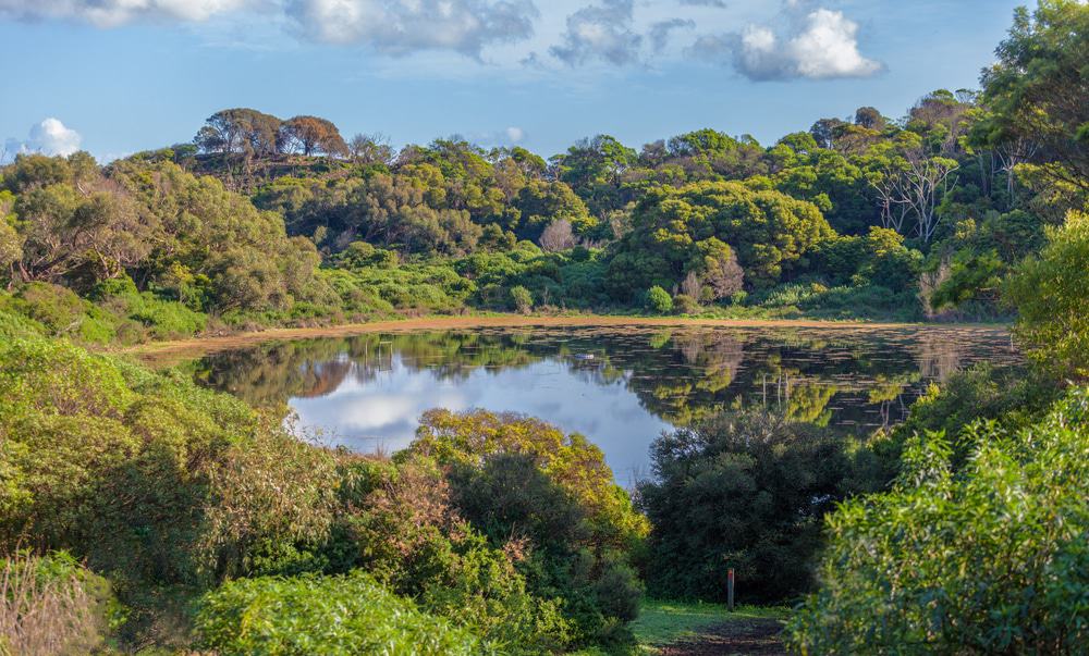 15 mejores cosas para hacer en Warrnambool (Australia) 15 mejores cosas para hacer en Warrnambool (Australia)