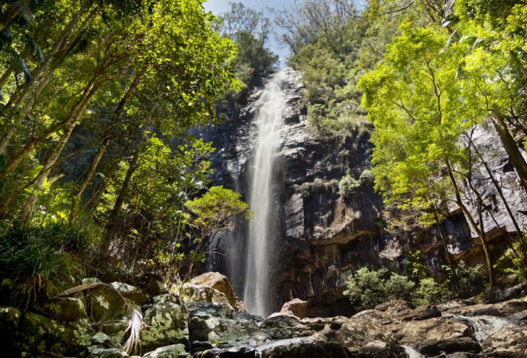 15 Best Things to Do in Lismore (Australia) The Crazy Tourist