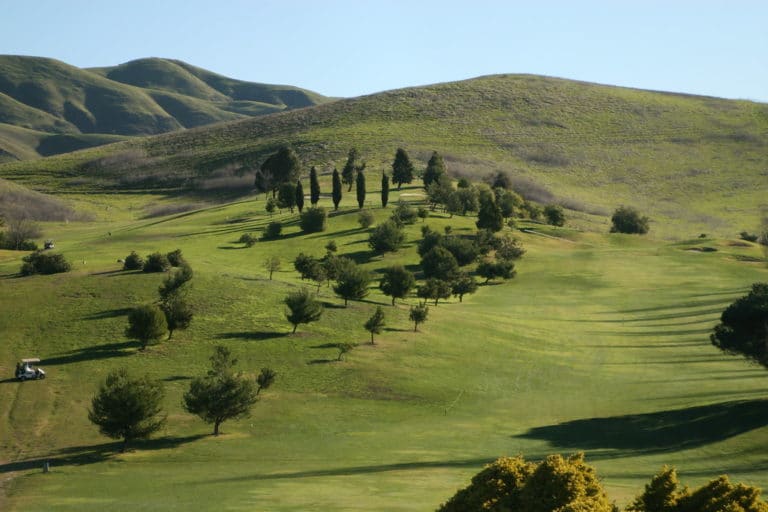 15 Best Things to Do in Milpitas (CA) The Crazy Tourist