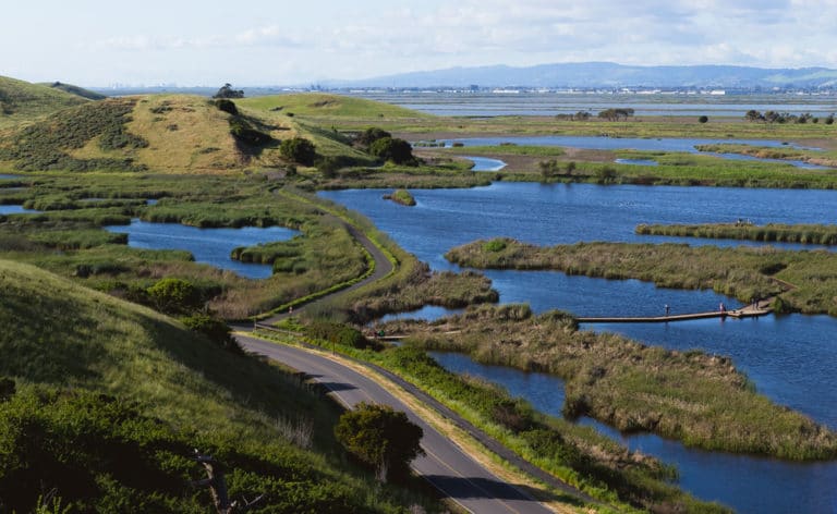 15 Best Things to Do in Union City (CA)  The Crazy Tourist