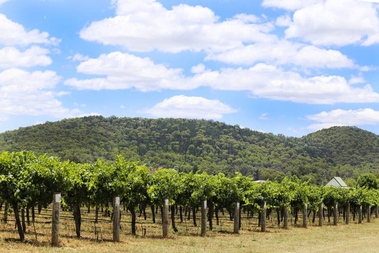 15 Best Things to Do in Mudgee (Australia) The Crazy Tourist
