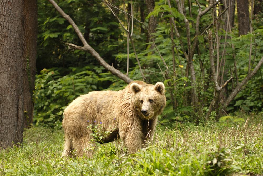 Arcadia Wilderness Park