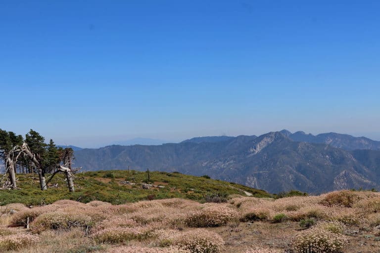 15 Best Things to Do in Montebello (CA) The Crazy Tourist