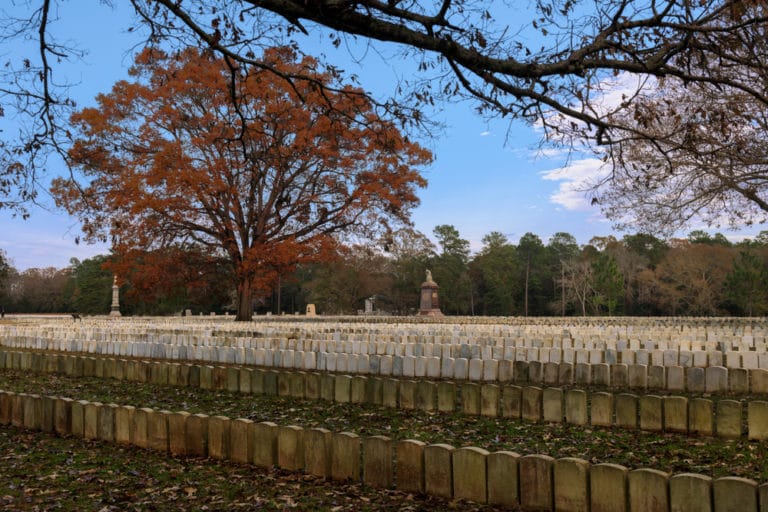 15 Best Things to Do in Americus (GA) The Crazy Tourist