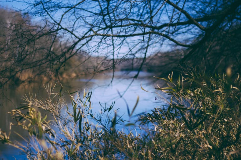 15 Best Things to Do in Newnan (GA) The Crazy Tourist