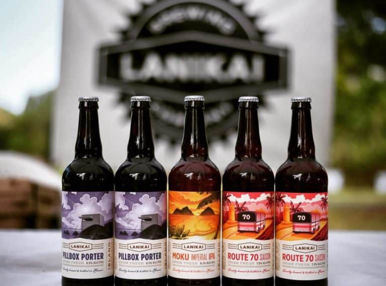 15 Best Things to Do in Kailua (Hawaii) The Crazy Tourist