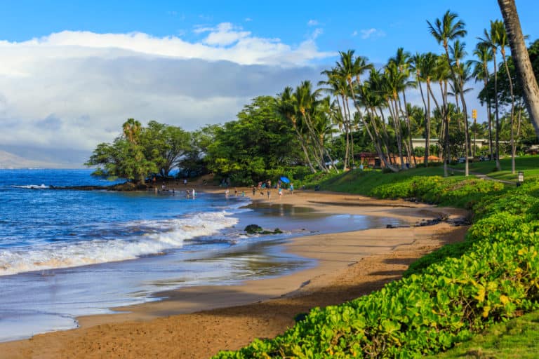 15 Best Things to Do in Kihei (Hawaii) The Crazy Tourist