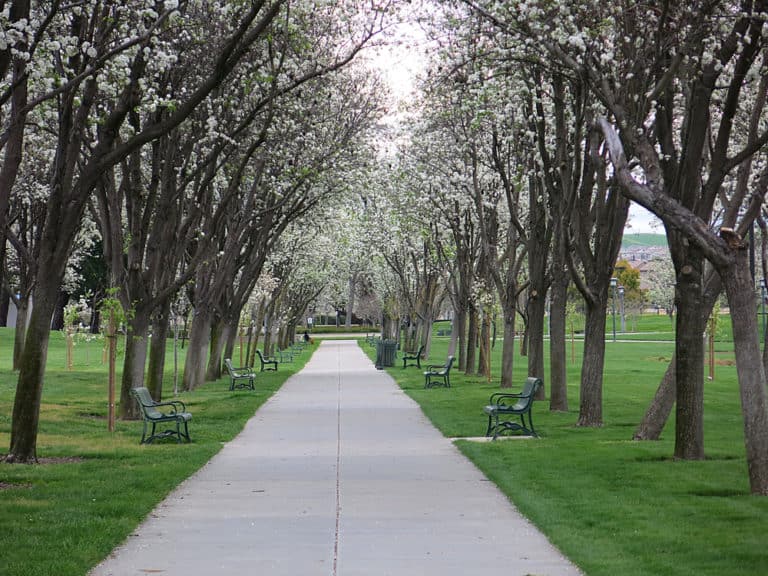 15 Best Things to Do in Dublin (CA) - The Crazy Tourist