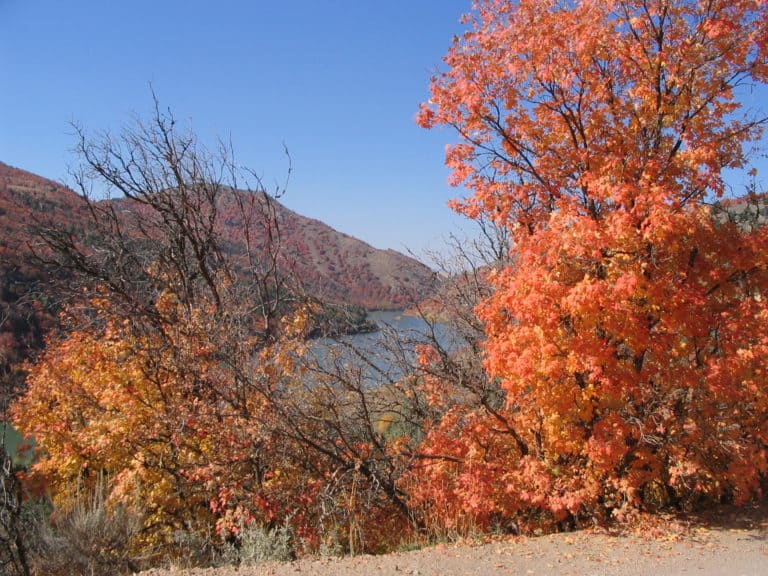 15 Best Things to Do in Preston (Idaho) The Crazy Tourist