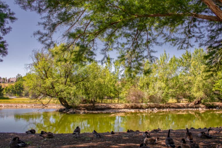 15 Best Things to Do in Garden City (Idaho) The Crazy Tourist