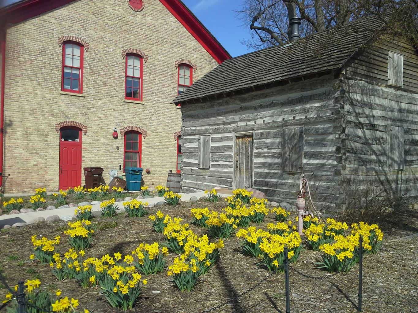 15 Best Things to Do in Skokie (IL) The Crazy Tourist