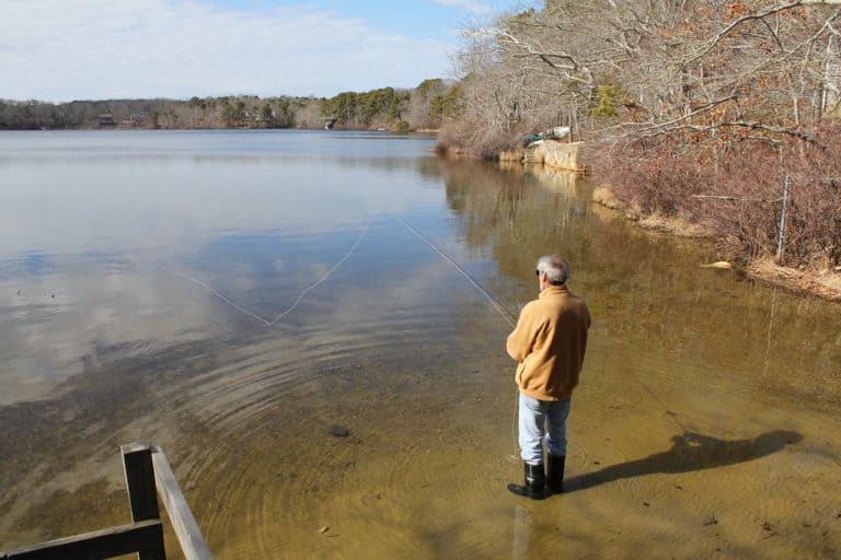 15 Best Lakes in Massachusetts The Crazy Tourist
