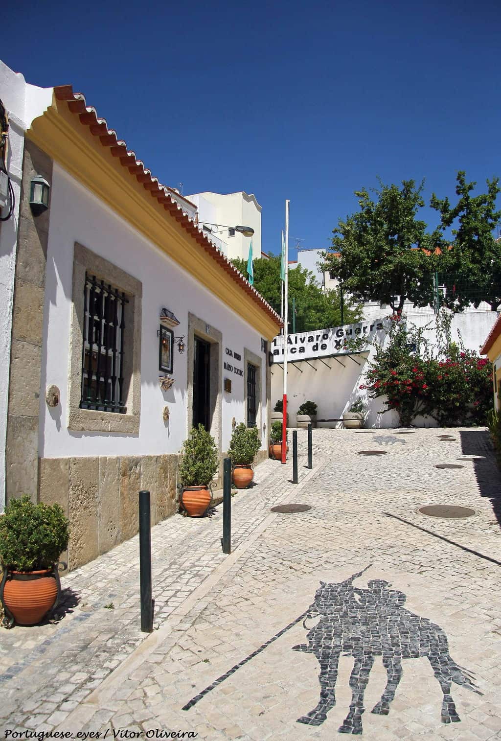 15 Best Things to Do in Vila Franca de Xira (Portugal) The Crazy Tourist