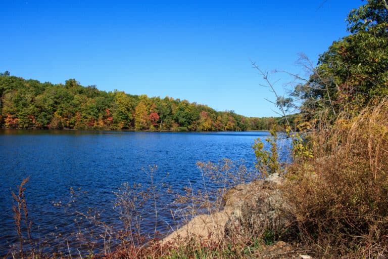 15 Best Things to Do in Bloomfield (CT) The Crazy Tourist