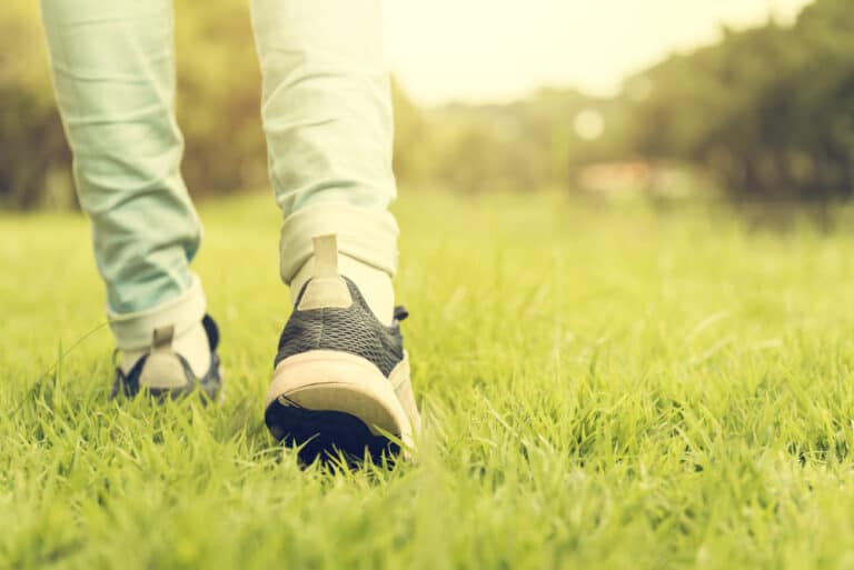 15 Best Things to Do in Carol Stream (IL) - The Crazy Tourist