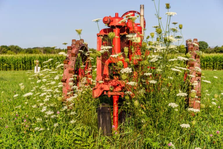 15 Best Things to Do in St. Charles (IL) The Crazy Tourist