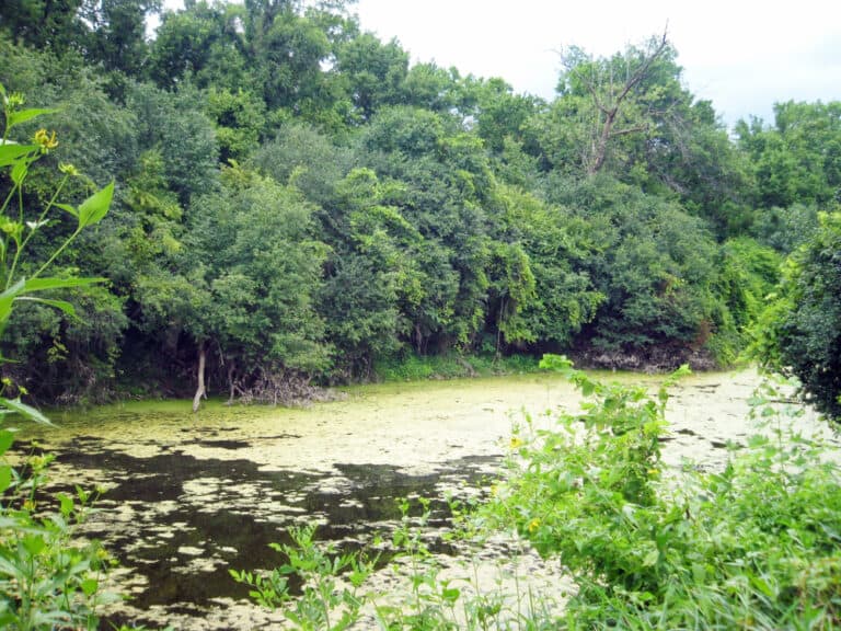 15 Best Things to Do in Zion (IL) The Crazy Tourist