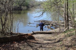 15 Best Things to Do in Park Ridge (IL) - The Crazy Tourist