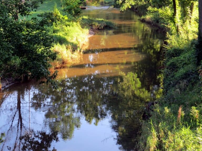 15 Best Things to Do in Beech Grove (Indiana) The Crazy Tourist