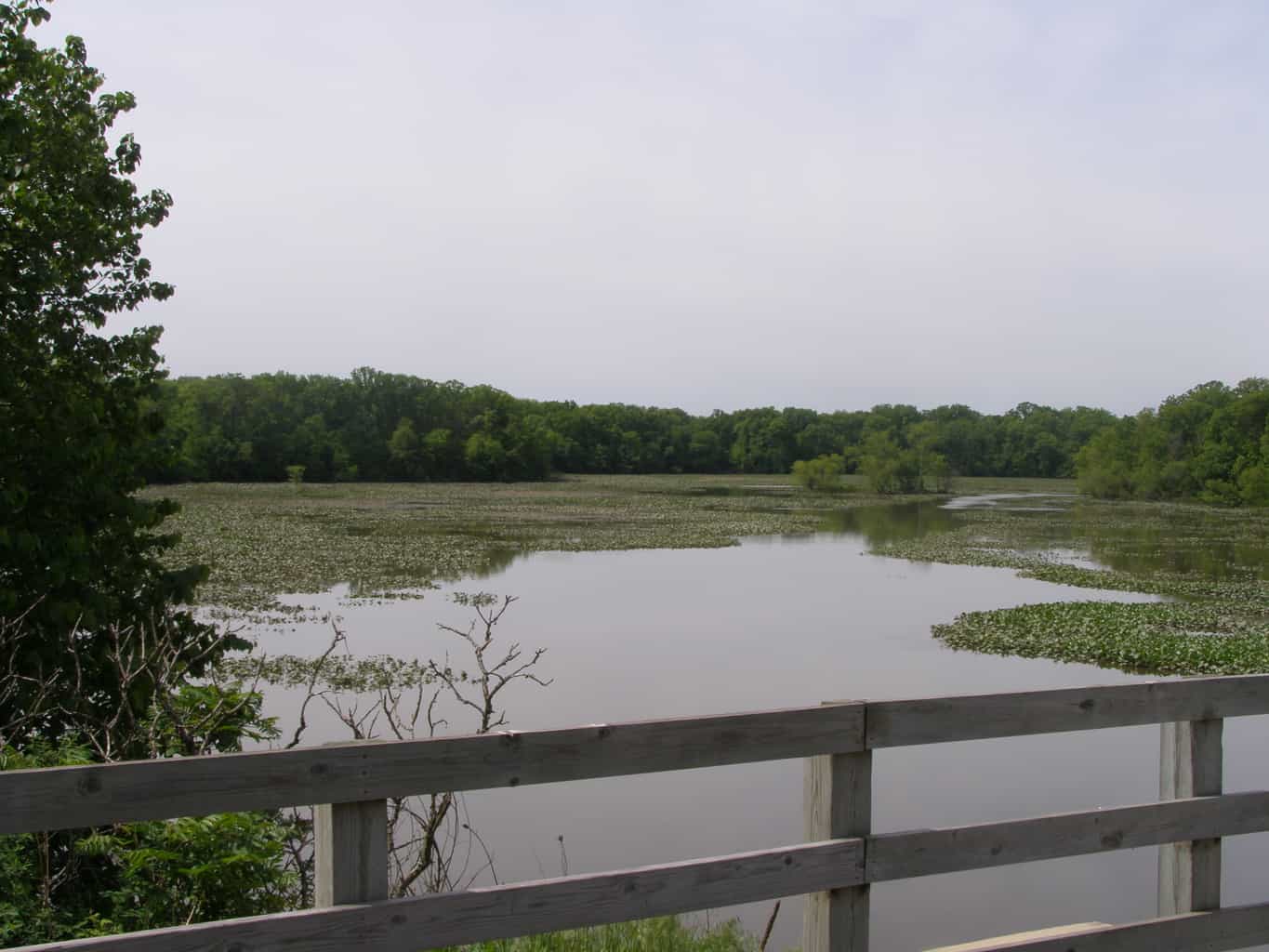 15 Best Things to Do in Hobart (Indiana) The Crazy Tourist