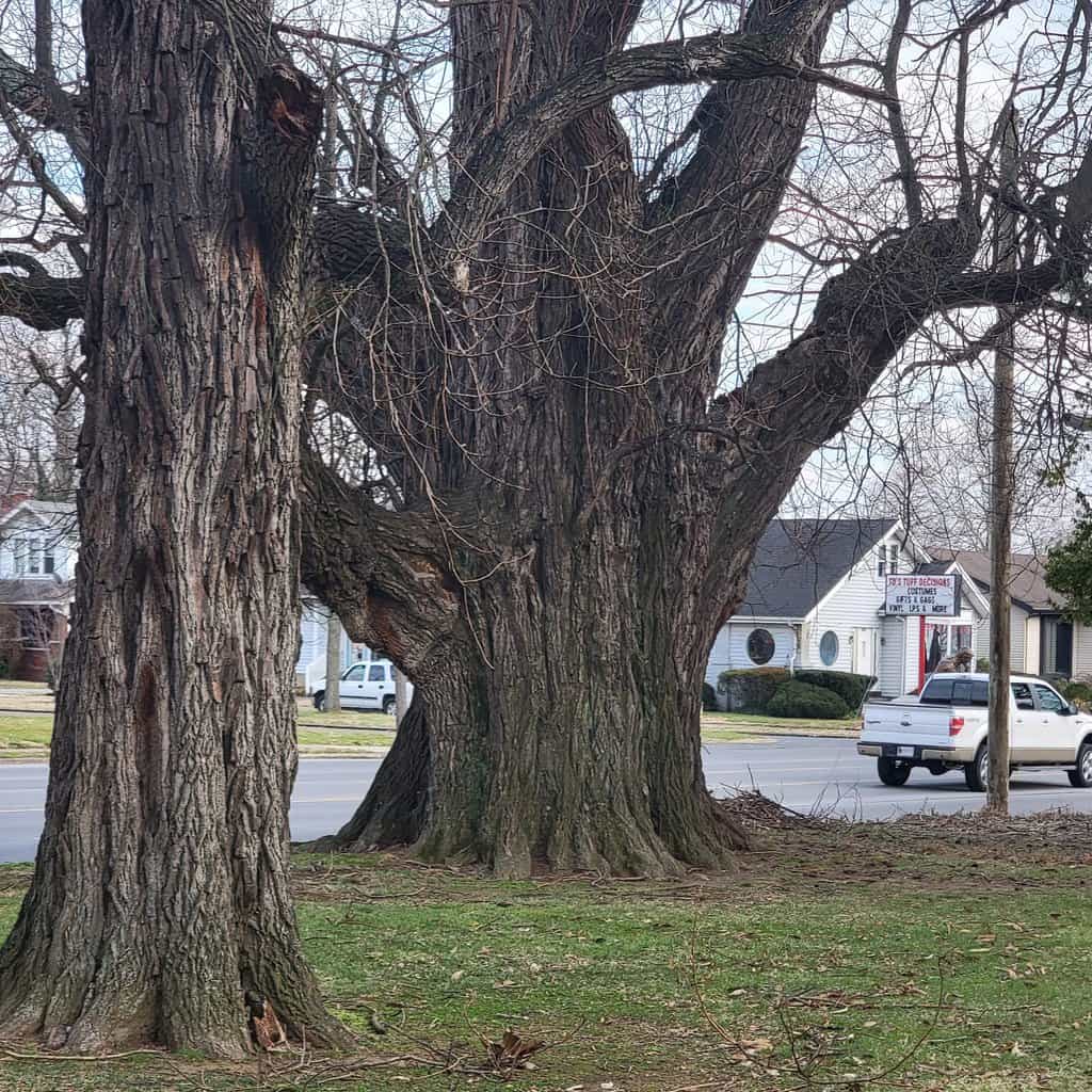 15 Best Things to Do in Owensboro (KY) The Crazy Tourist