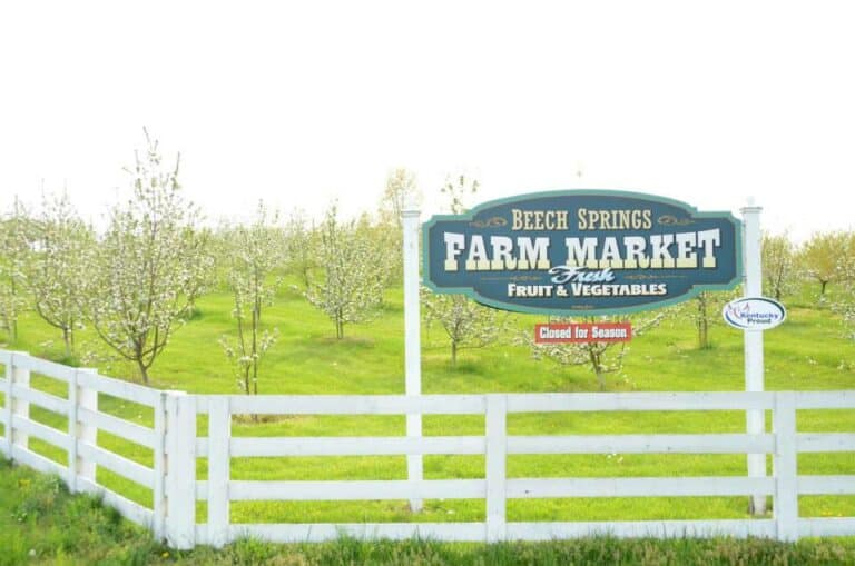 15 Best Things to Do in Winchester (KY) The Crazy Tourist