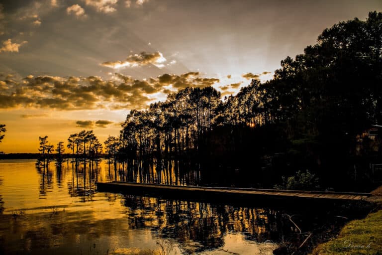 15 Best Things to Do in Minden (LA) The Crazy Tourist