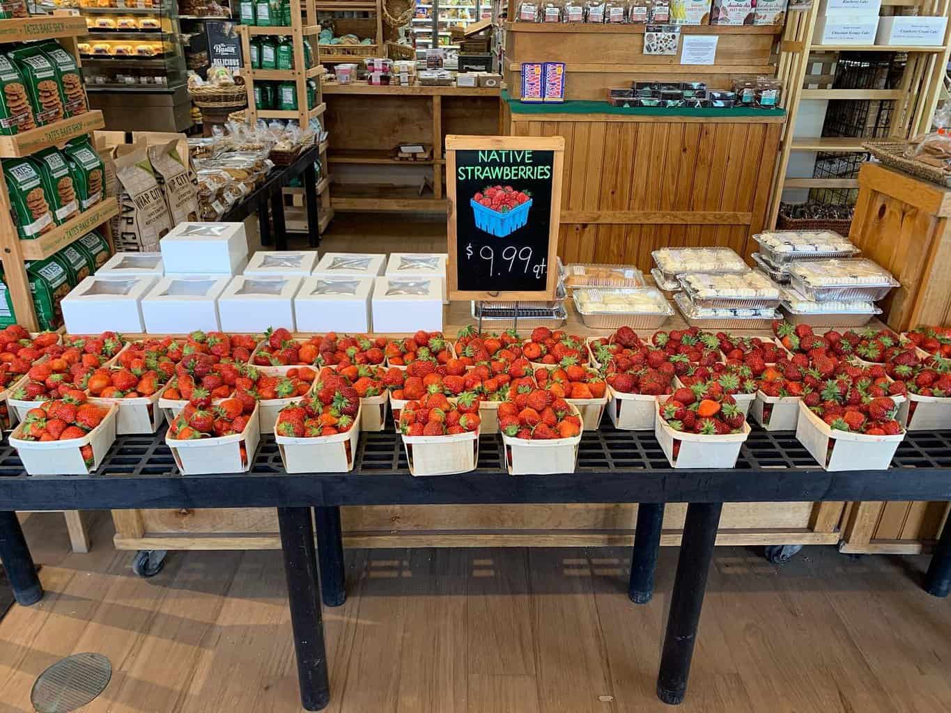 15 Best Things to Do in Natick (MA) The Crazy Tourist