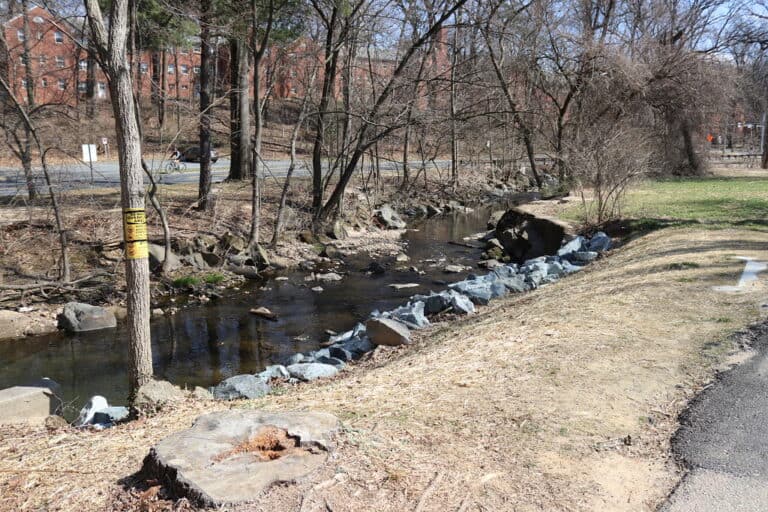 15 Best Things to Do in Takoma Park (MD) The Crazy Tourist